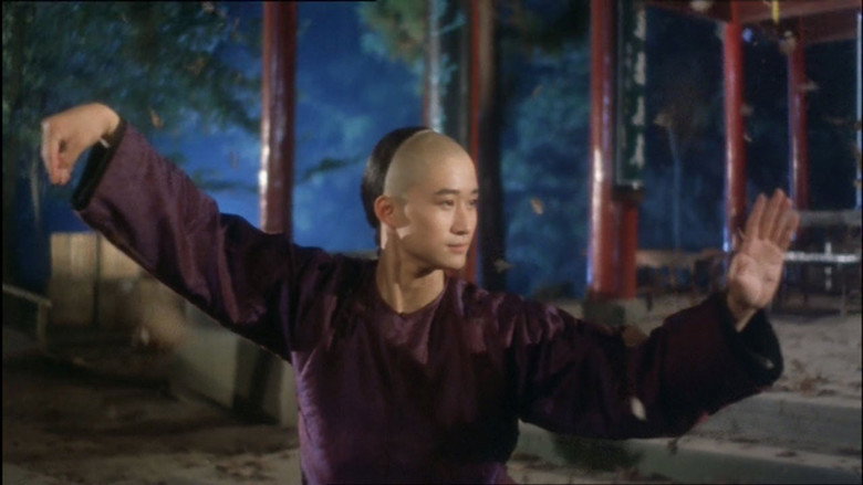 Tai Chi Boxer still 2