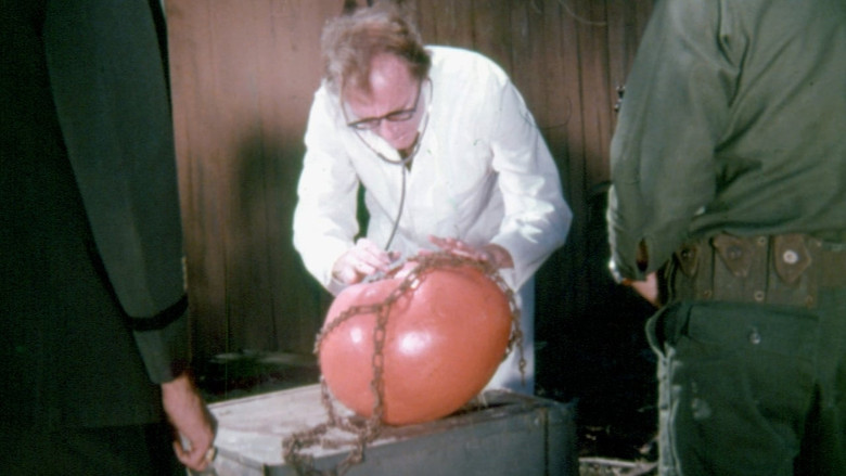 Attack of the Killer Tomatoes! still 2
