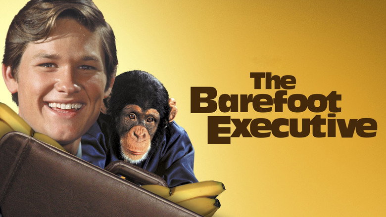 The Barefoot Executive still 6