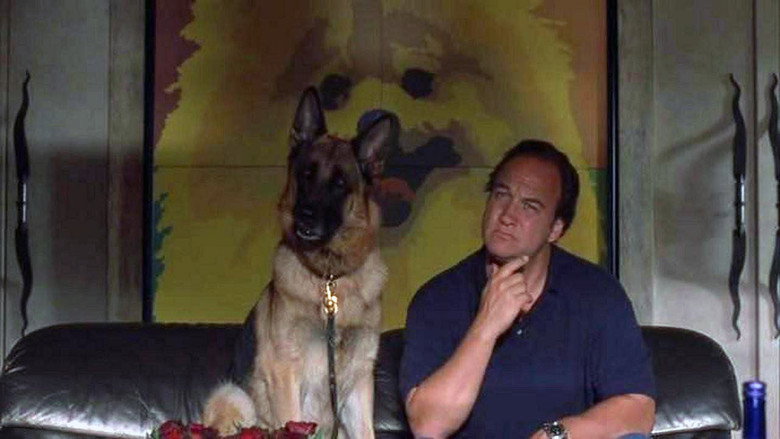 K-9: P.I. still 5