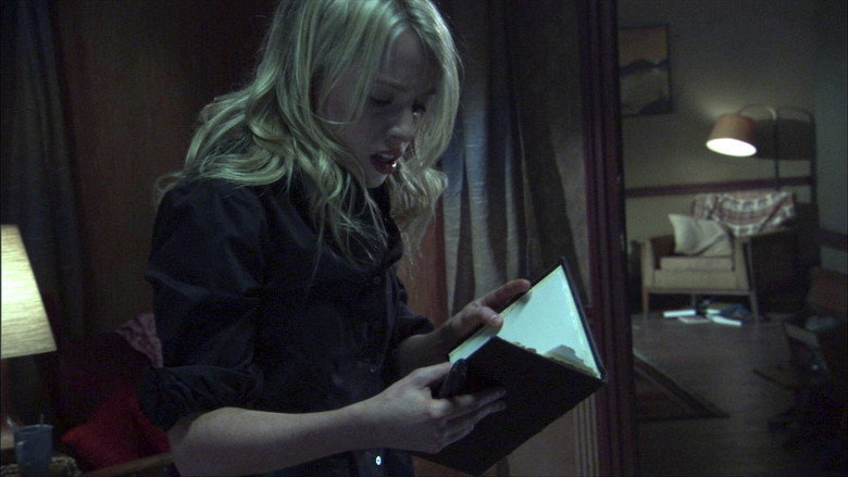 Devil's Diary still 3