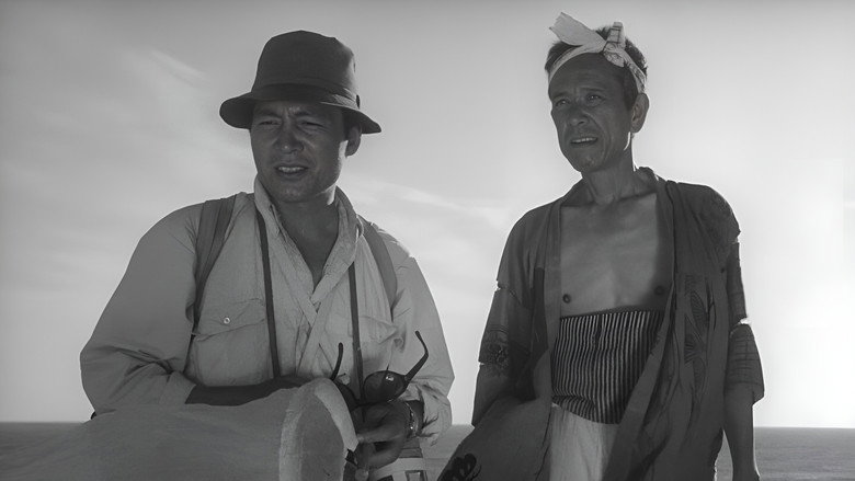 Woman in the Dunes still 3