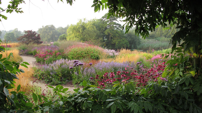 Five Seasons: The Gardens of Piet Oudolf still 5