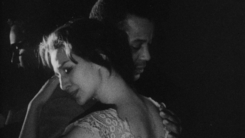 Shadows still 4