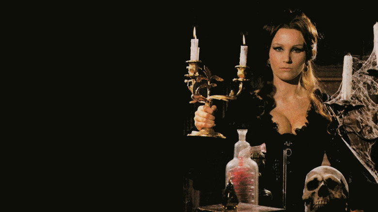 Web of the Spider still 1