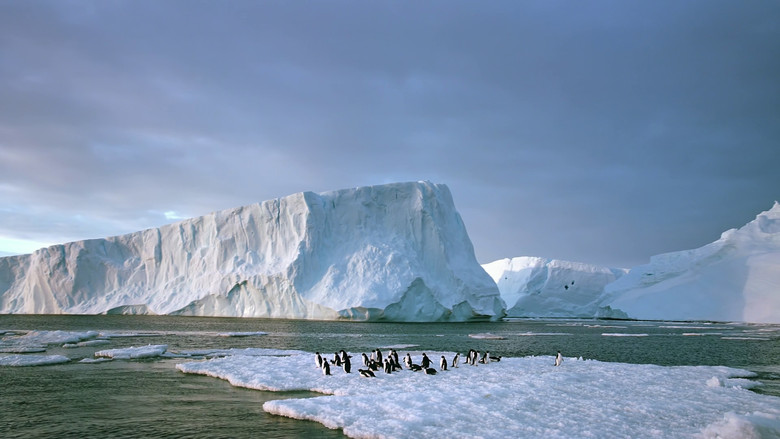 Antarctica: On the Edge still 1