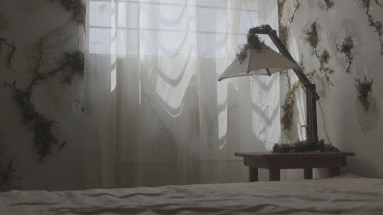 Enjaulada still 2