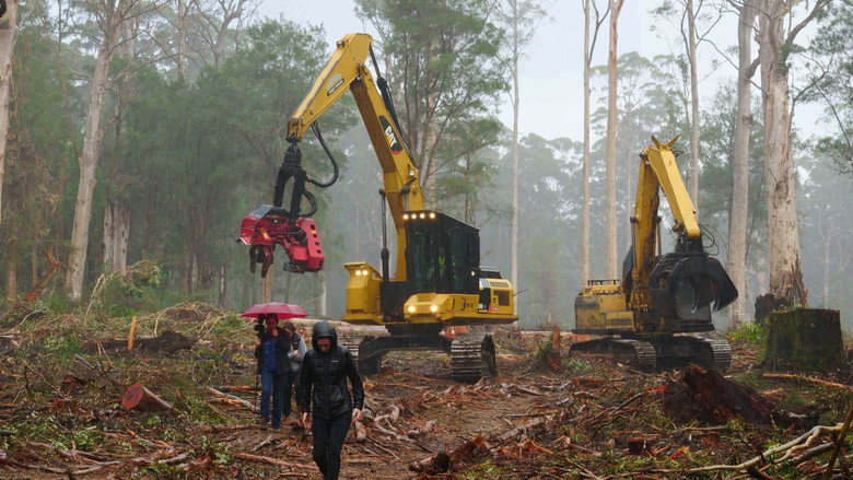 Cry of the Forests - A Western Australian Story still 1