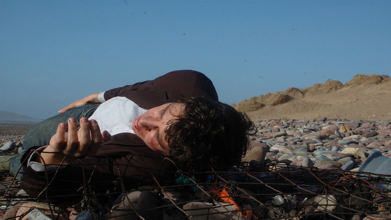 Beached still 4