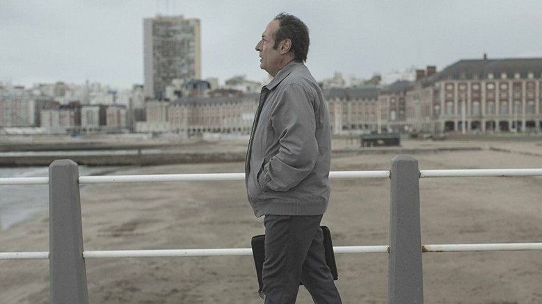 Animal still 2