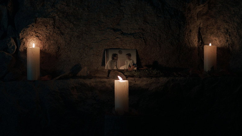 A Floresta still 3
