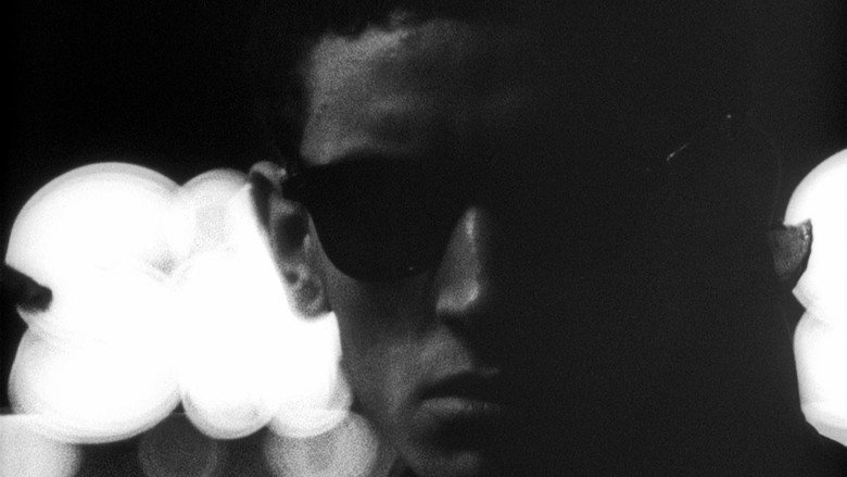 Shadows still 3