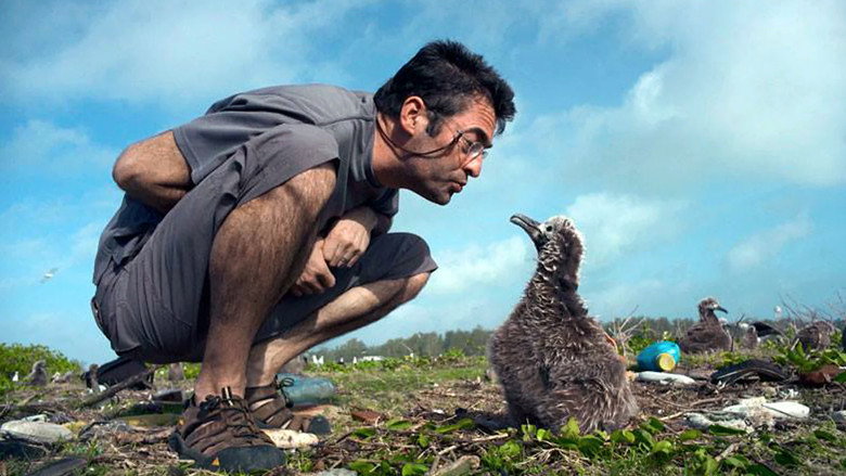 Albatross still 1