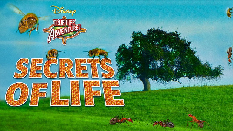 Secrets of Life still 3