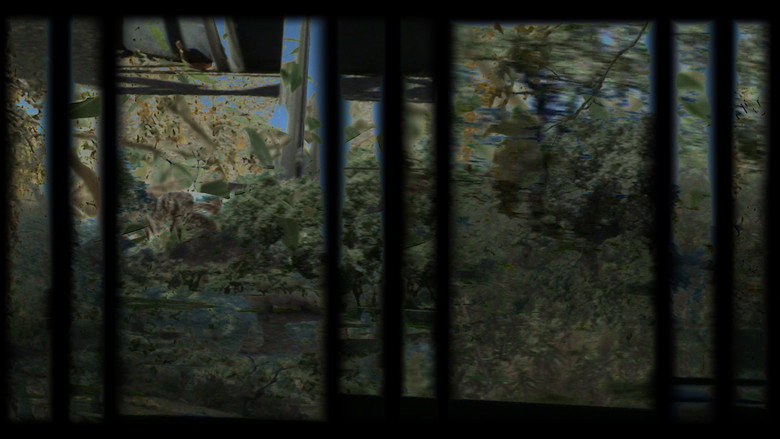 A Jupatarama still 3