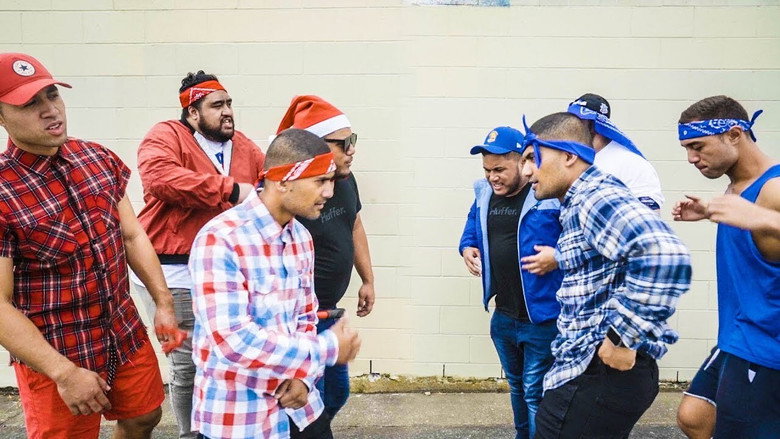 Crips and Bloods: Made in America still 1