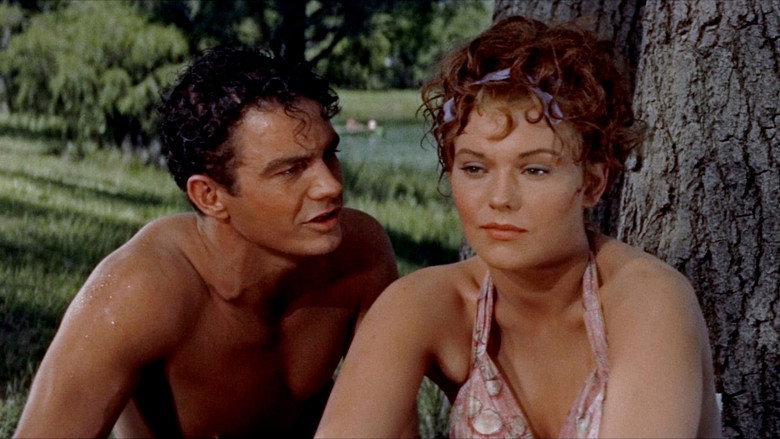 Picnic still 3