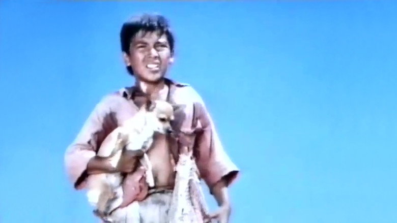 Pablo and the Dancing Chihuahua still 2