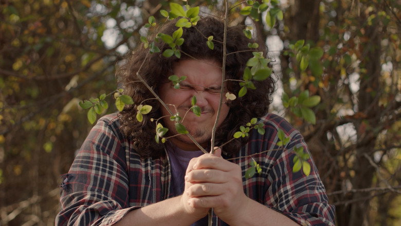Money Tree still 1
