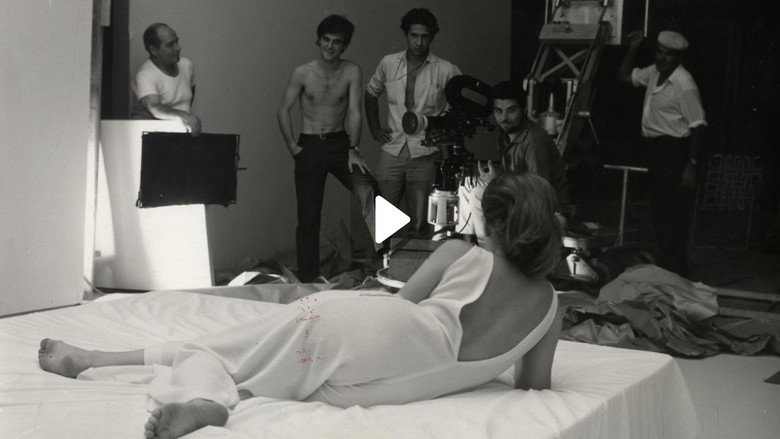 Circles still 1