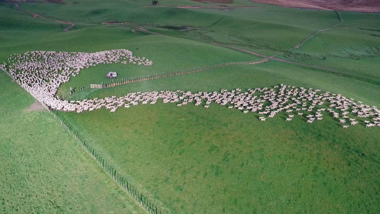 Aerial New Zealand still 3