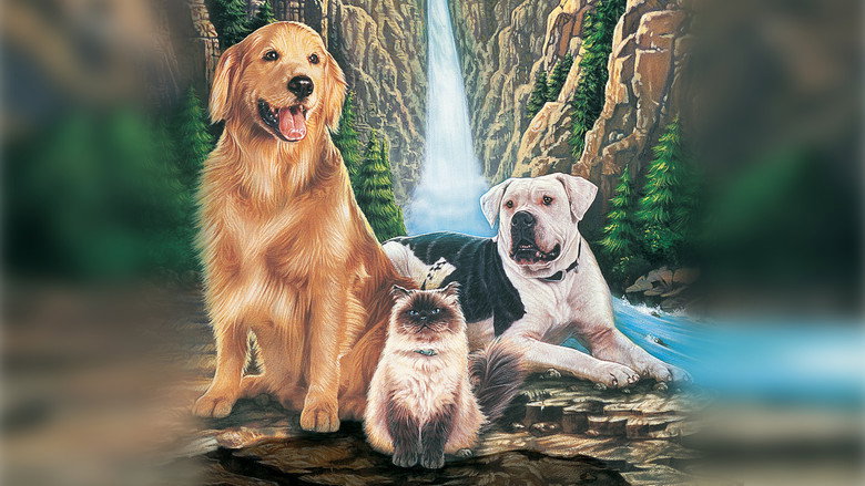 Homeward Bound: The Incredible Journey still 8