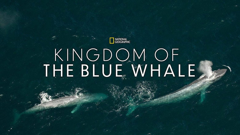 Kingdom of the Blue Whale still 3