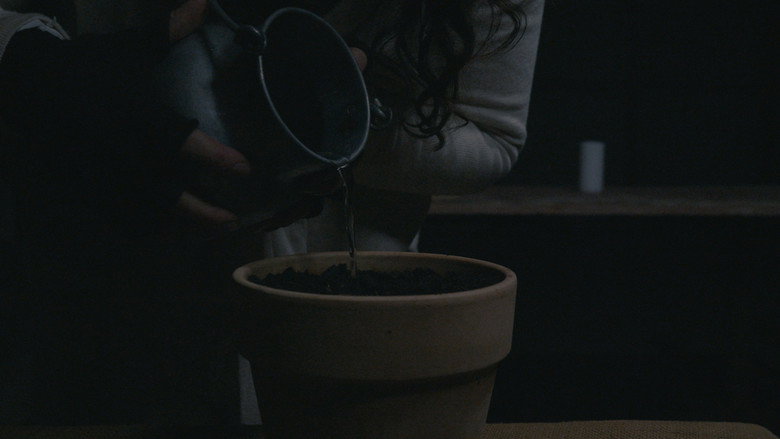BLOOM - A Dystopian Short Film still 4