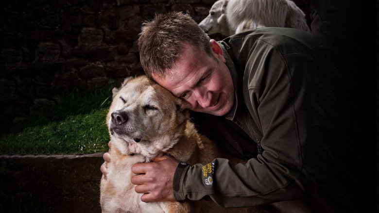 Animal Airlift: Escaping the Taliban still 1