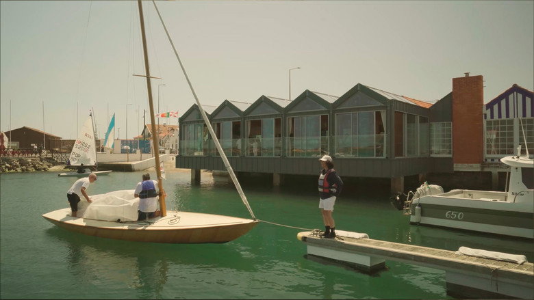 Vougas of the Ria de Aveiro still 3