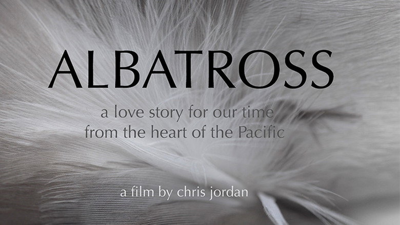 Albatross still 2