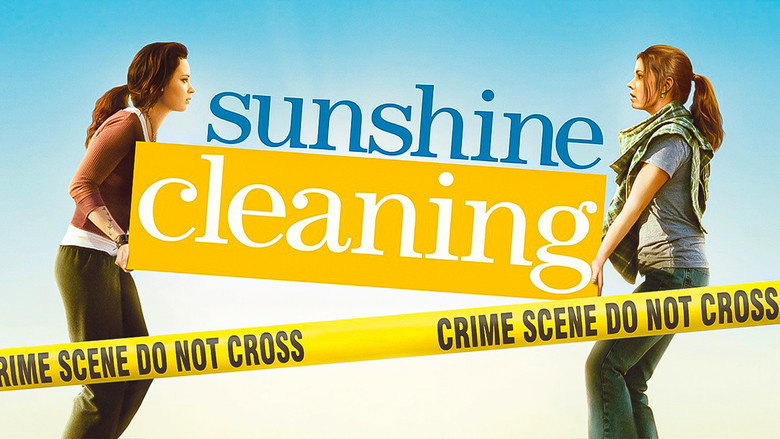 Sunshine Cleaning still 3