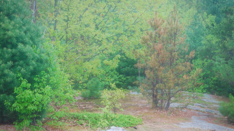 REMNIRA still 2
