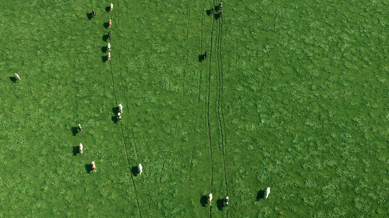 The Milk System still 4