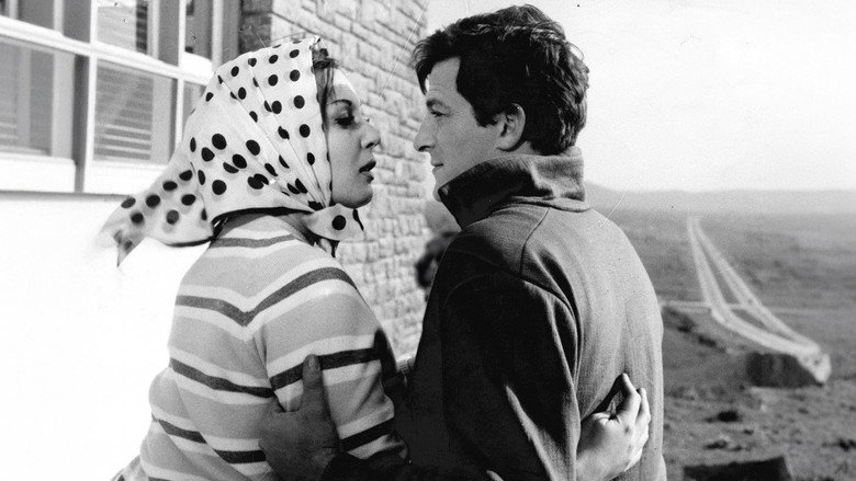 Dişi Örümcek still 3