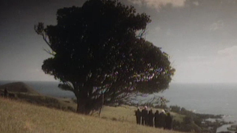 Mauri still 3