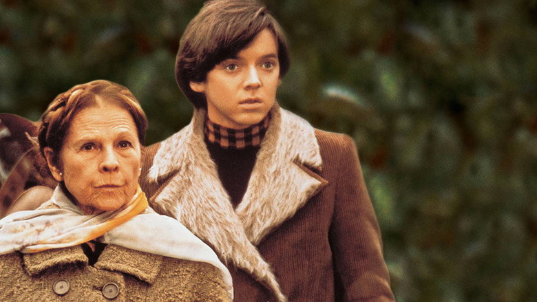 Harold and Maude still 5