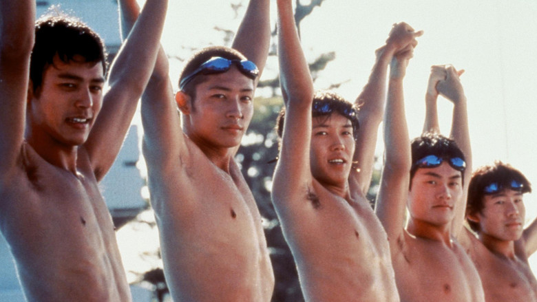 Waterboys still 3
