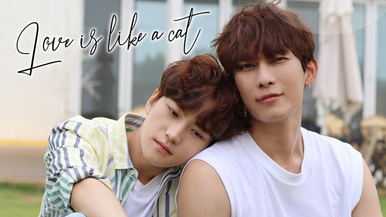 Love Is Like A Cat still 4