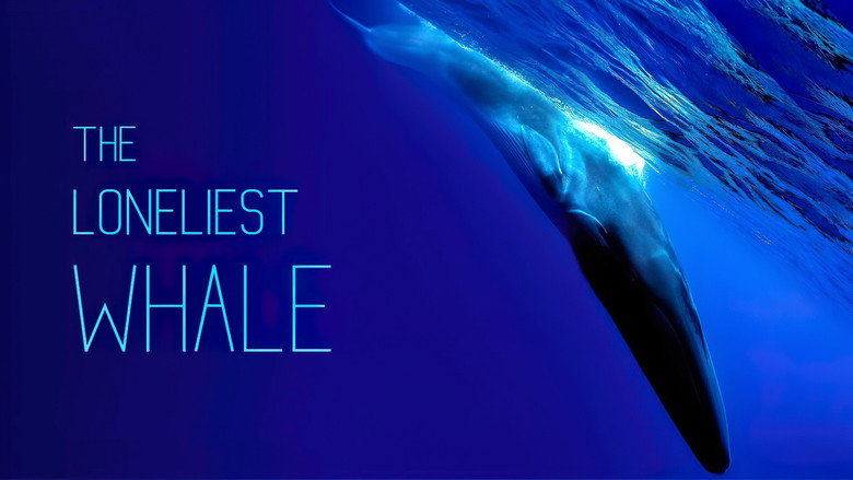 The Loneliest Whale: The Search for 52 still 3
