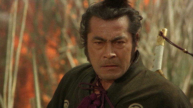 Red Sun still 7