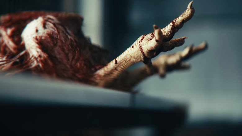 Chicken Curry still 3