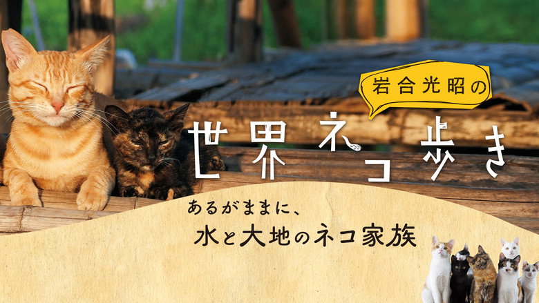 Mitsuaki Iwago's World “Cats” Travelogue still 2