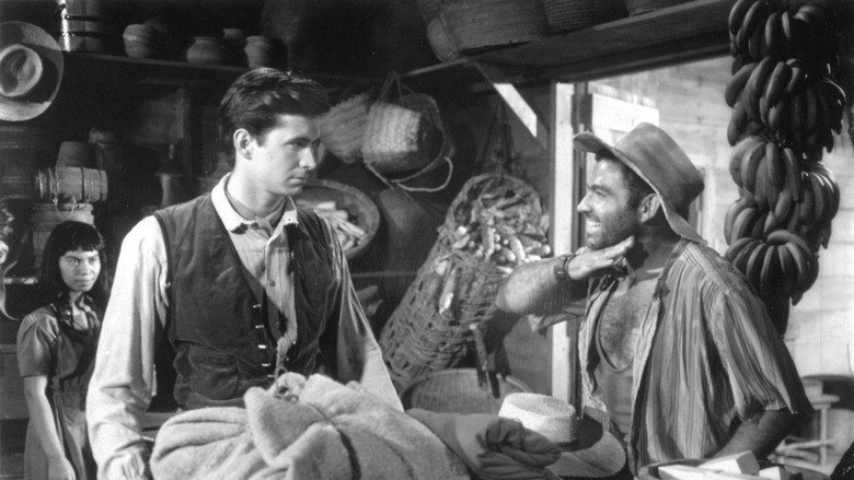 The Lonely Man still 3