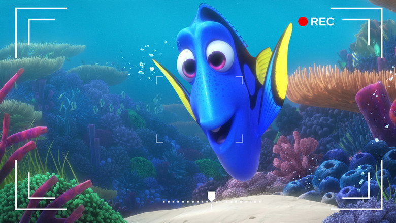 Dory's Reef Cam still 2