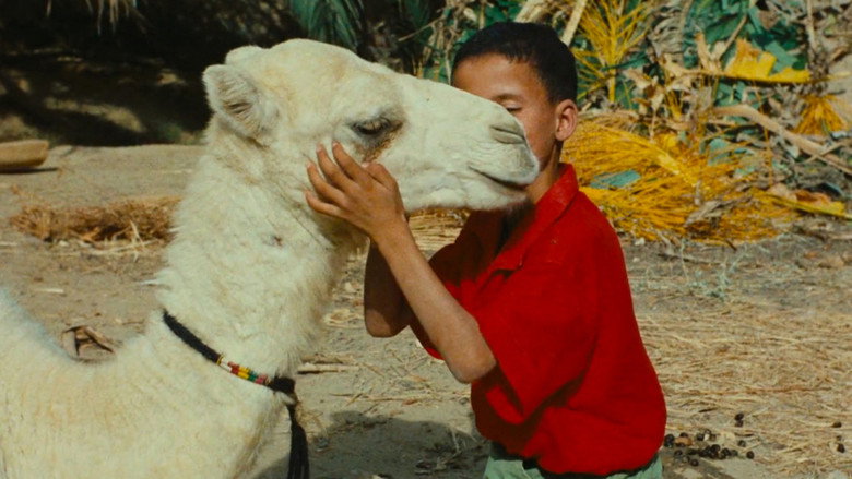 Zaa, the Little White Camel still 2