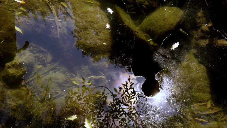 Reflejos del Cielo still 2