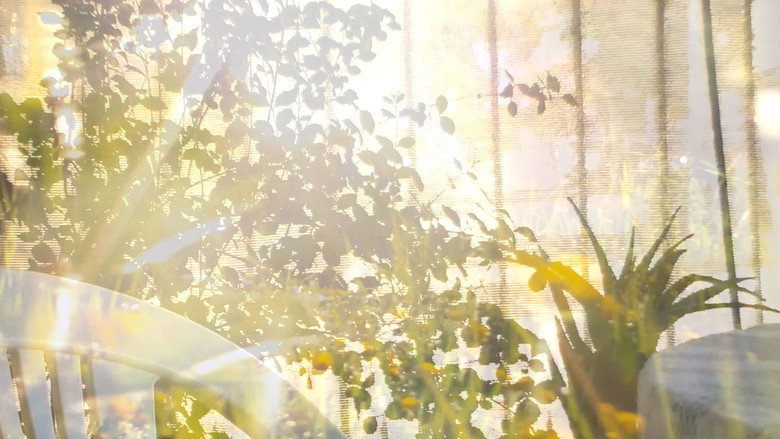 Today I don’t have anything to say because everything’s at peace still 3