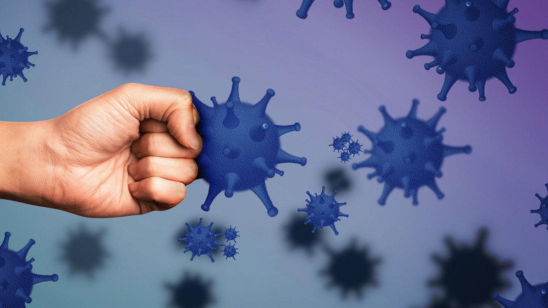 The Immune System: Guardian of Our Health still 4