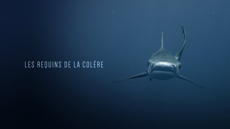 Les Requins de la Colère still 1